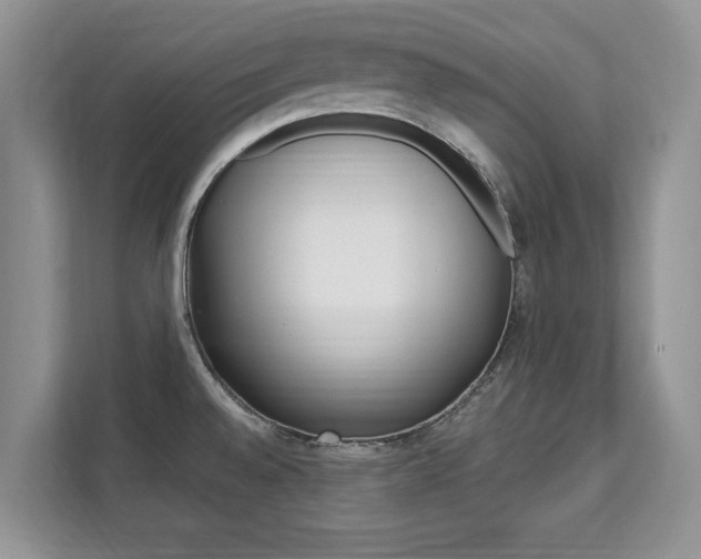 X0000112201528200908071232