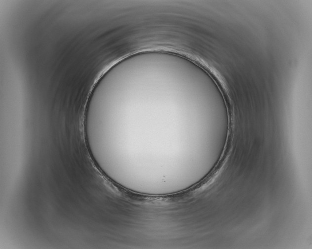 X0000112201529200908071233