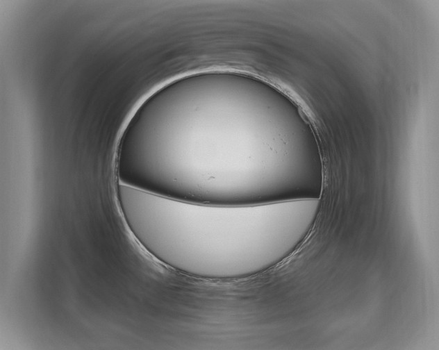 X0000112201532200908071233
