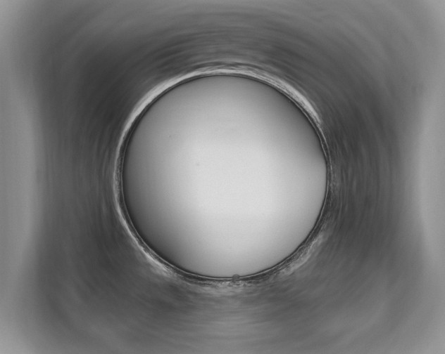 X0000112201533200908071233
