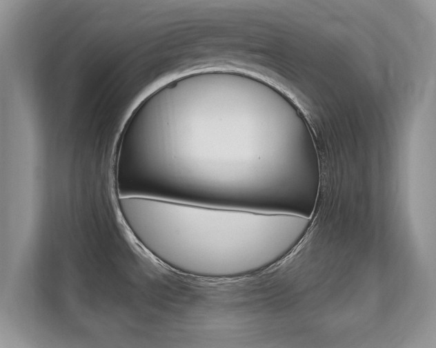 X0000112201534200908071233