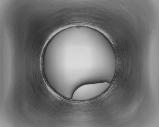 X0000112201535200908071233