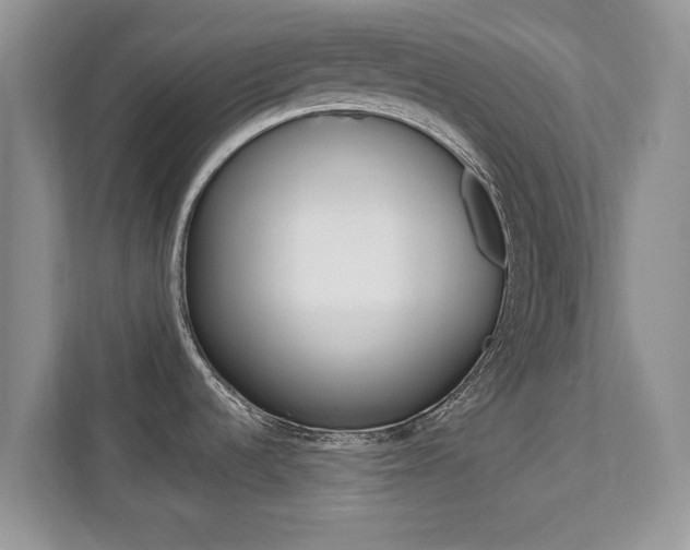 X0000112201536200908071233