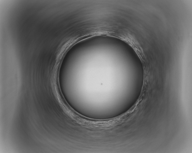 X0000112200001200908071443