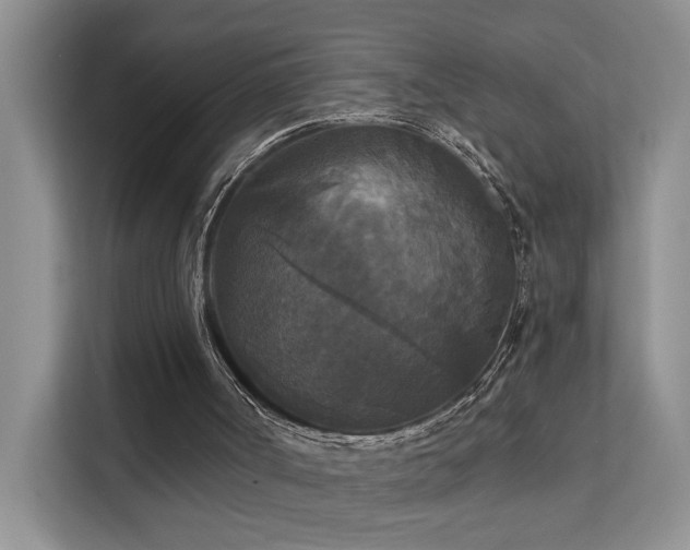 X0000112200002200908071443