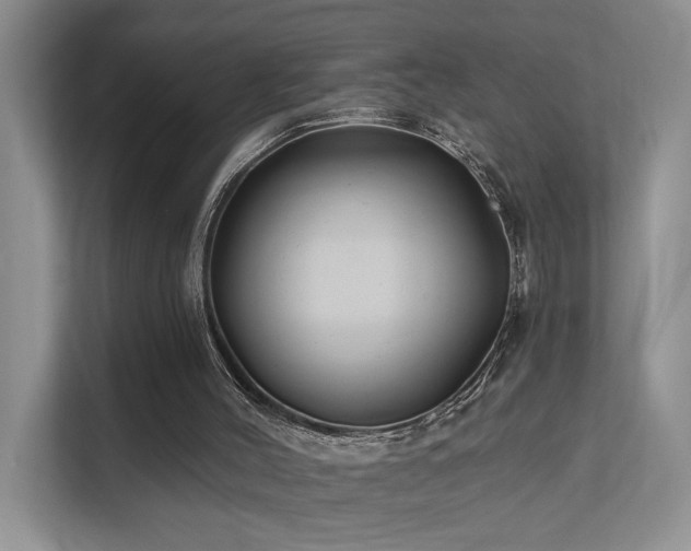 X0000112200004200908071443