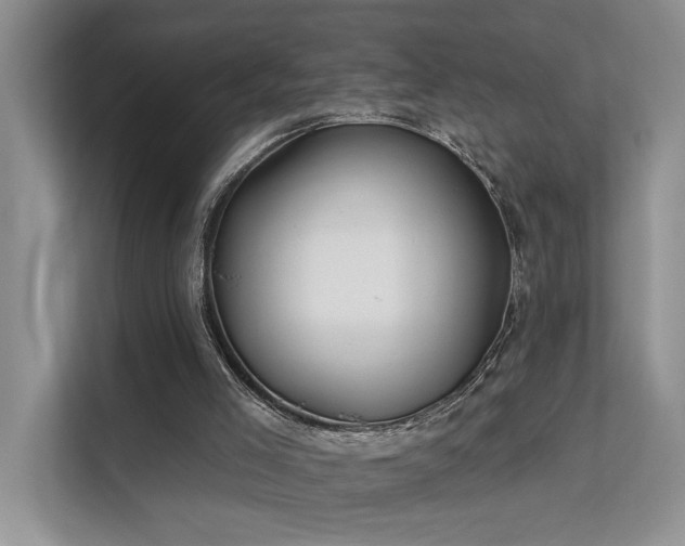 X0000112200005200908071443