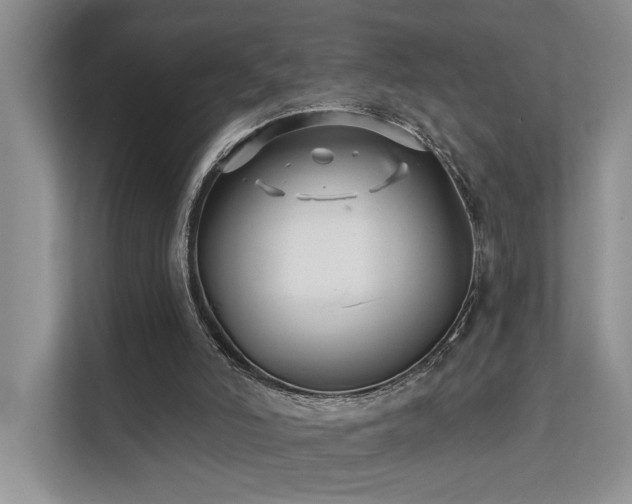 X0000112200006200908071443