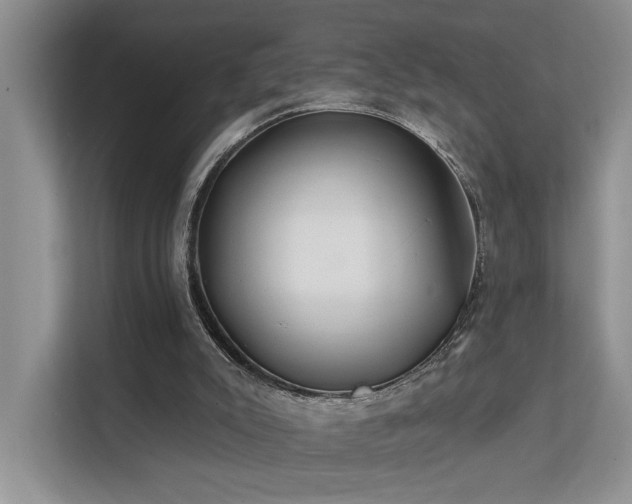 X0000112200007200908071443