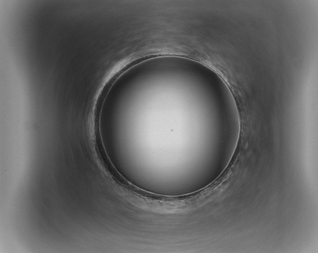 X0000112200008200908071443