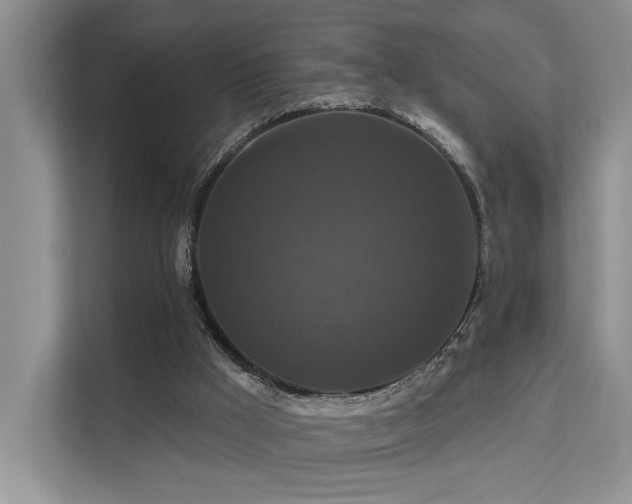 X0000112200009200908071443