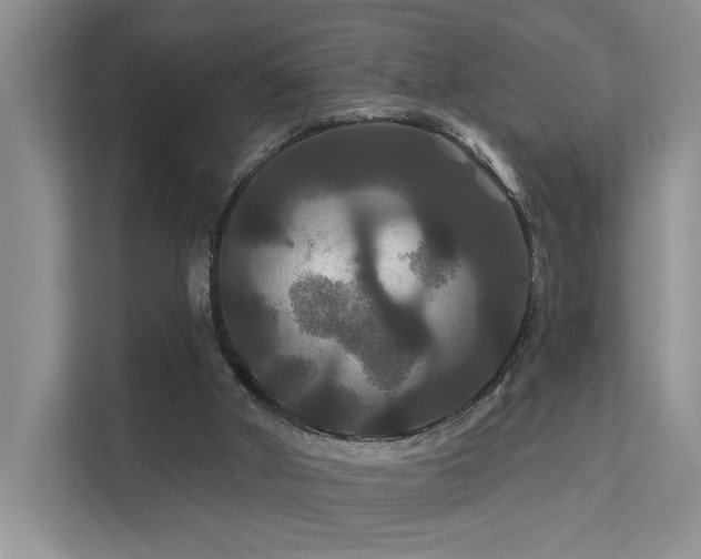 X0000112200010200908071443