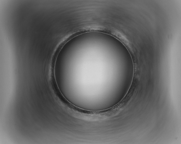 X0000112200012200908071443