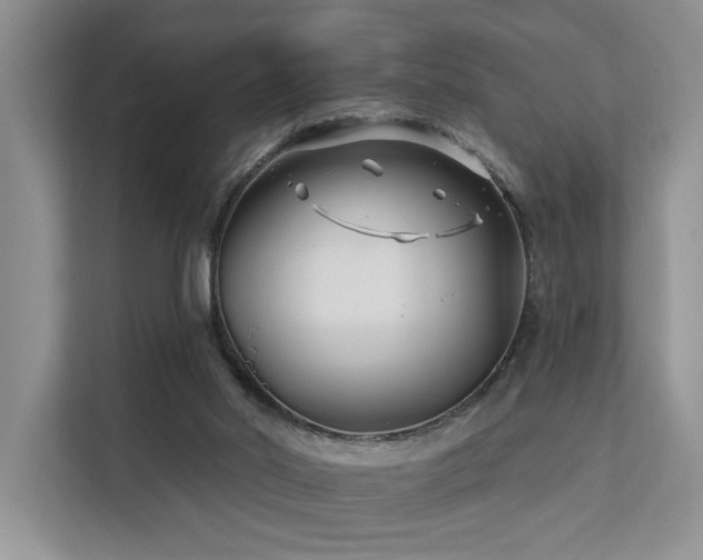X0000112200014200908071443