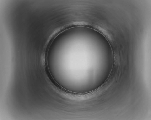X0000112200015200908071443