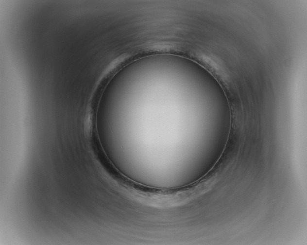 X0000112200016200908071443