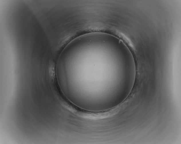 X0000112200017200908071443