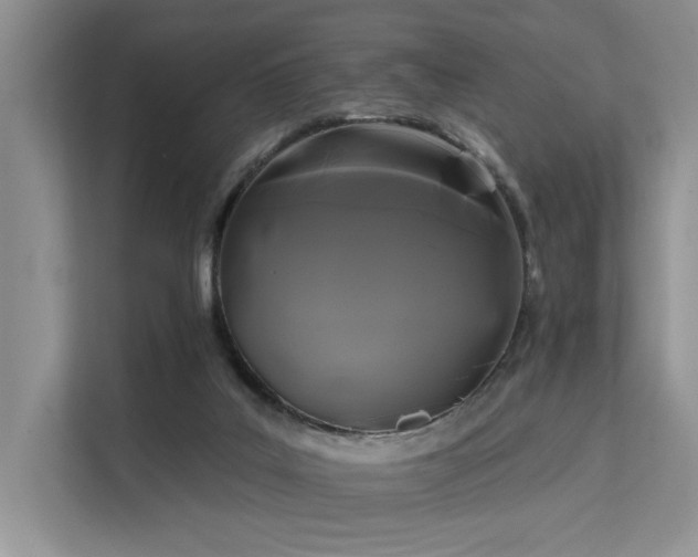 X0000112200019200908071443