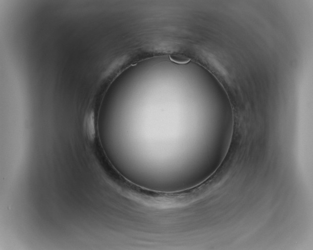 X0000112200020200908071443