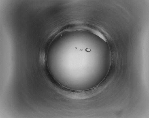 X0000112200024200908071443