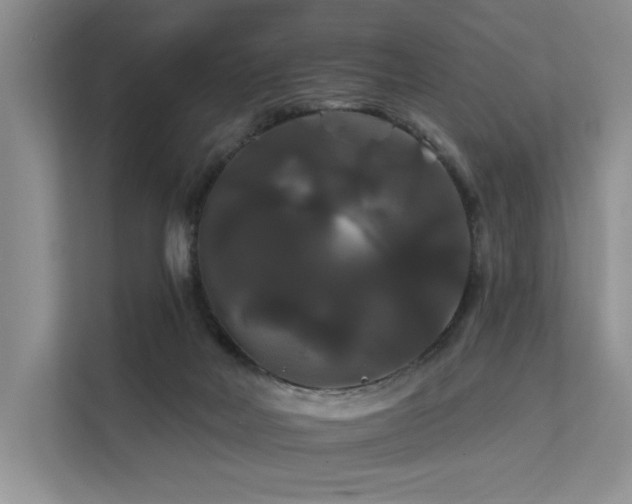 X0000112200026200908071443