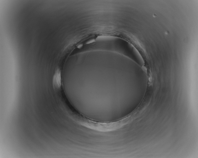 X0000112200027200908071443