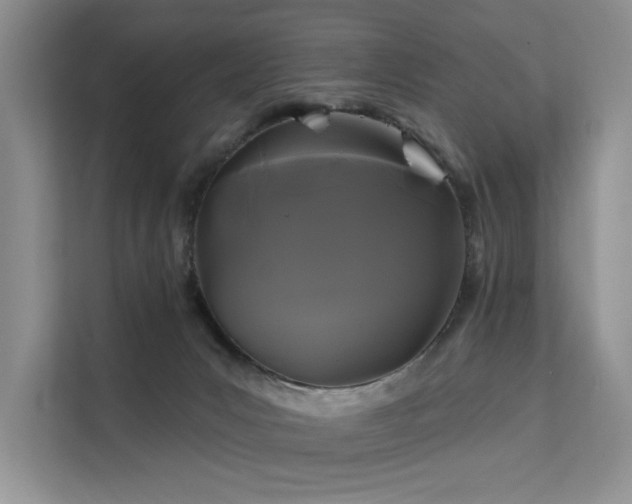 X0000112200031200908071443