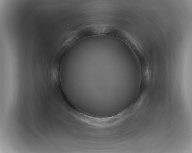 X0000112200035200908071443