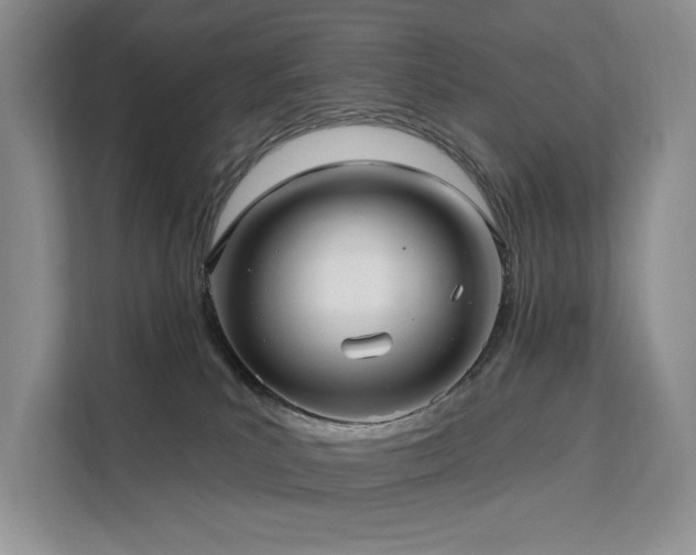 X0000112200039200908071443