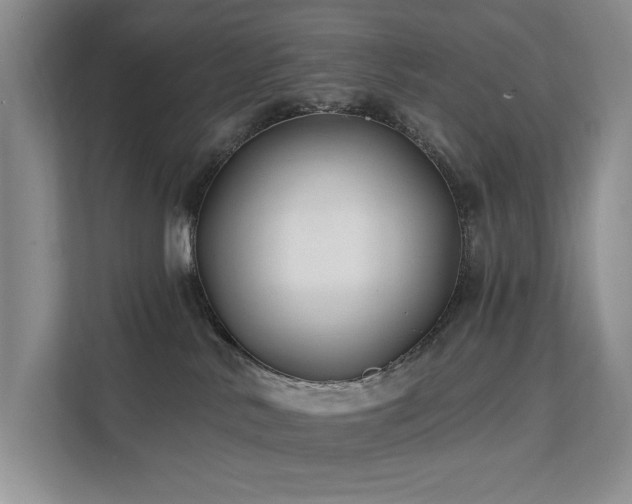 X0000112200042200908071443