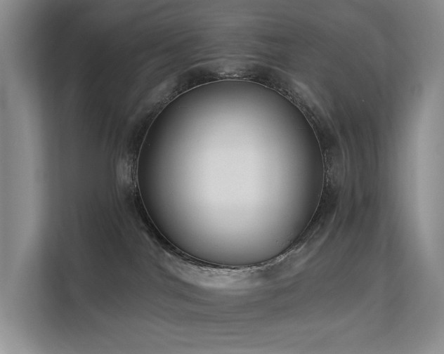 X0000112200044200908071443