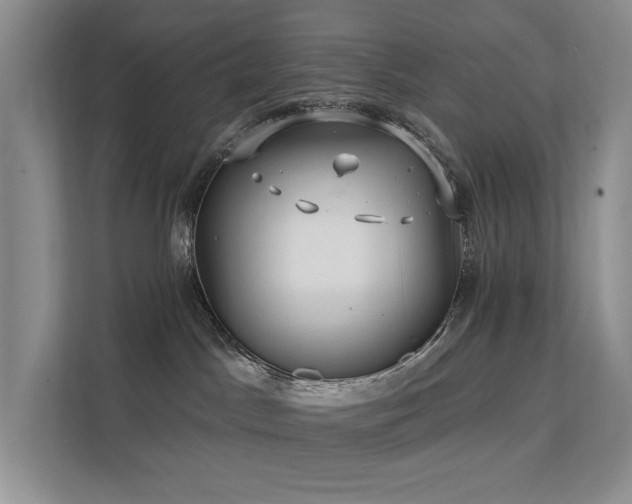 X0000112200045200908071443