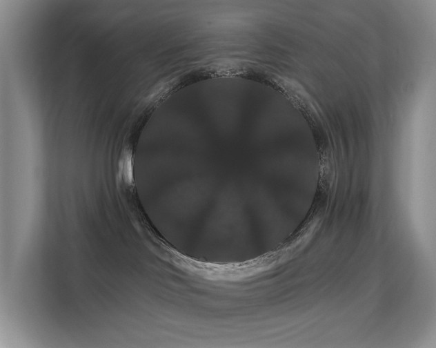X0000112200046200908071443