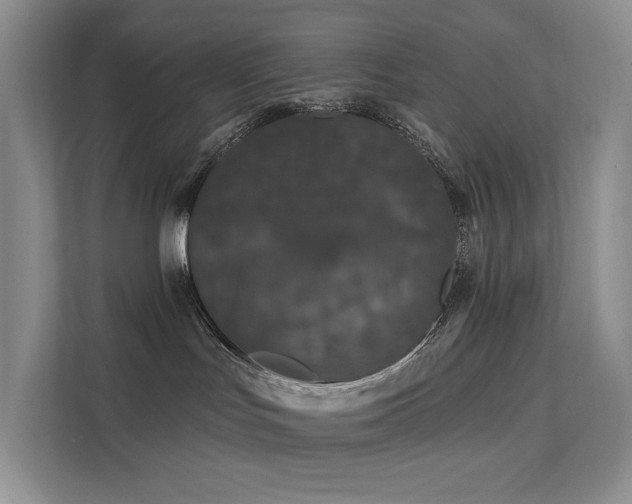 X0000112200047200908071443