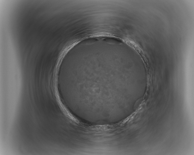X0000112200049200908071442