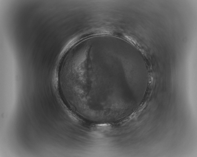 X0000112200053200908071442