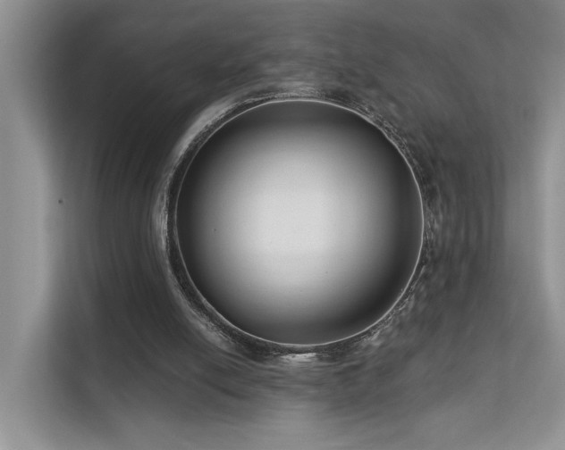 X0000112200054200908071442