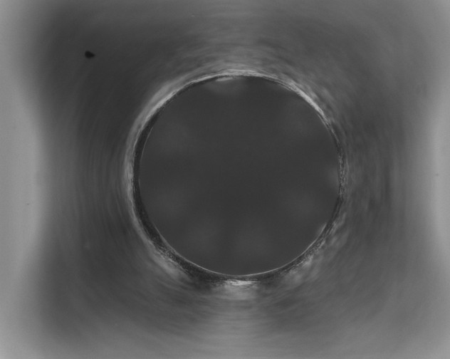 X0000112200055200908071442