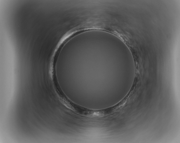 X0000112200056200908071442