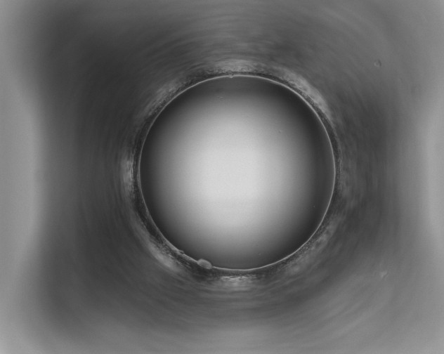 X0000112200057200908071442