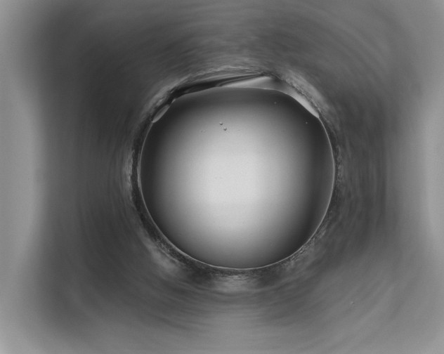 X0000112200058200908071442