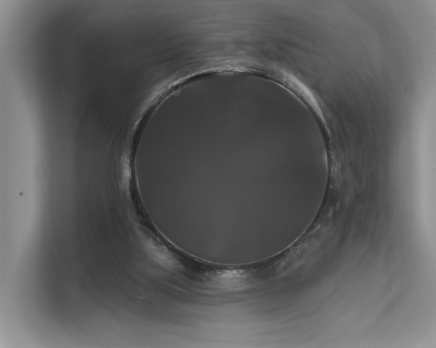 X0000112200059200908071442