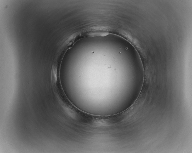 X0000112200062200908071442