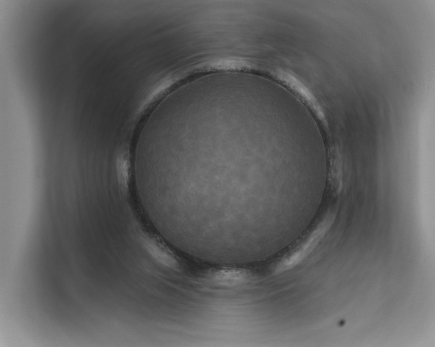 X0000112200063200908071442