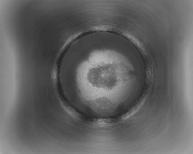 X0000112200064200908071442