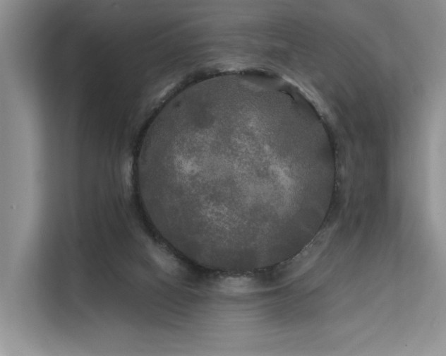 X0000112200066200908071442