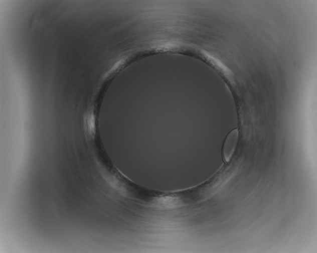 X0000112200067200908071442