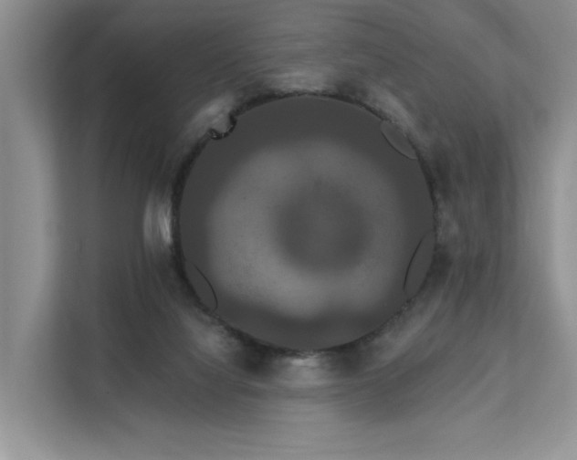X0000112200068200908071442