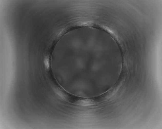 X0000112200069200908071442