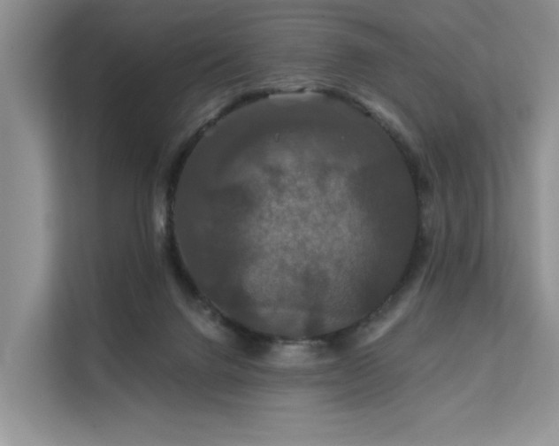 X0000112200072200908071442